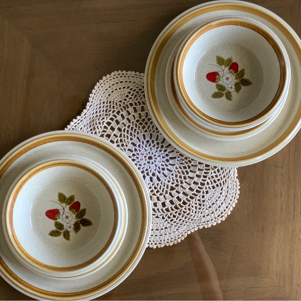Vintage Mikasa Stone Manor Luscious Pattern
